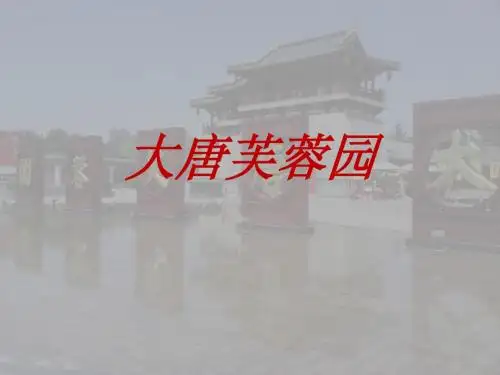 大唐芙蓉园