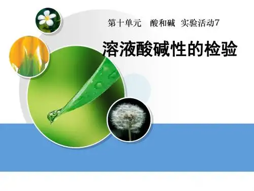 《溶液酸碱性的检验》酸和碱PPT课件 (共11张PPT)