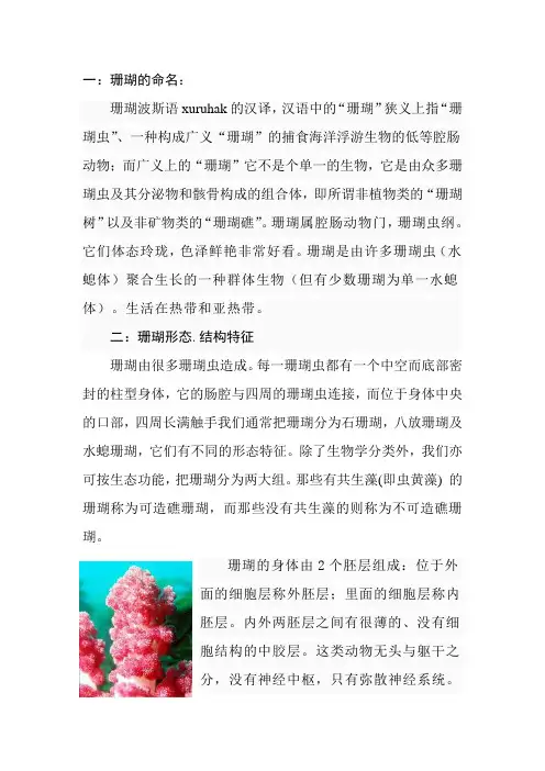 珊瑚的名称