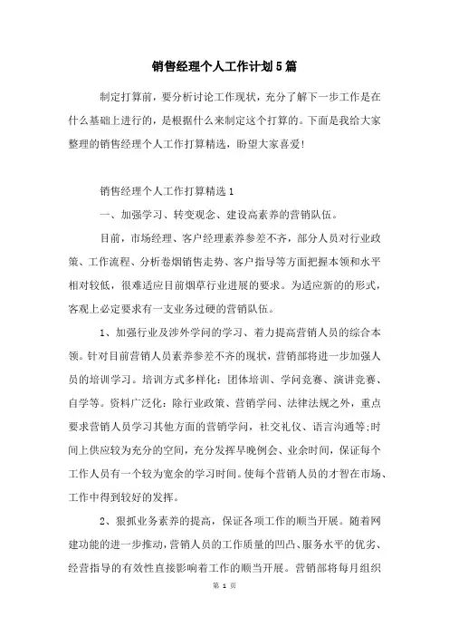 销售经理个人工作计划5篇