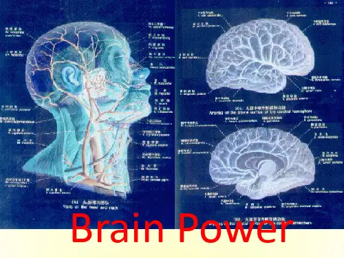 英语北师大版选修7-Unit21-Lesson-2-Brain-Power-PPT1学习资料
