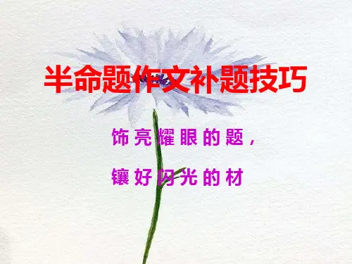 《半命题作文补题技巧》公开课优秀课件