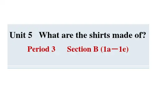 Unit5Period3SectionB(1a-1e)习题课件人教版英语九年级全册