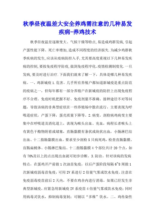 秋季昼夜温差大 安全养鸡需注意的几种易发疾病 - 养鸡技术