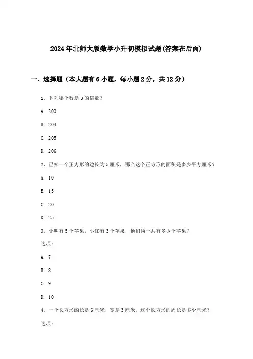 北师大版数学小升初试题及解答参考(2024年)