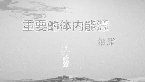 人教版化学选修一1.2《重要的体内能源——油脂》宽屏讲课课件