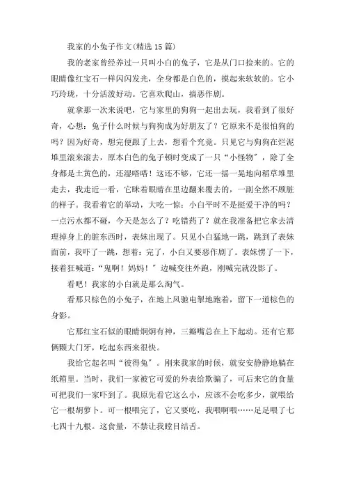 中小学我家的小兔子作文(精选15篇)