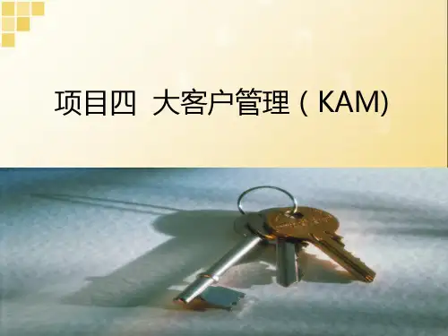项目四 大客户 管理