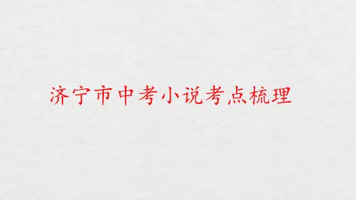 2020济宁市中考小说阅读专题总复习