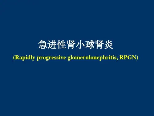 急进性肾炎医学PPT课件