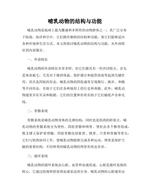 哺乳动物的结构与功能