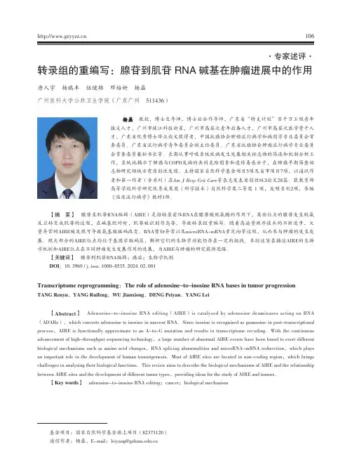 转录组的重编写：腺苷到肌苷RNA碱基在肿瘤进展中的作用