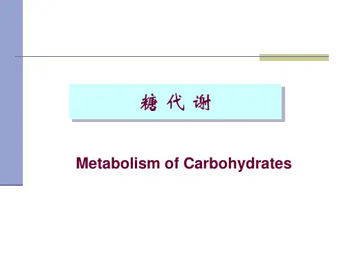 生物化学-糖代谢PPT课件