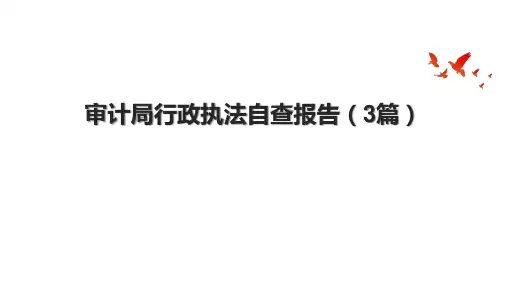 审计局行政执法自查报告(3篇).pptx