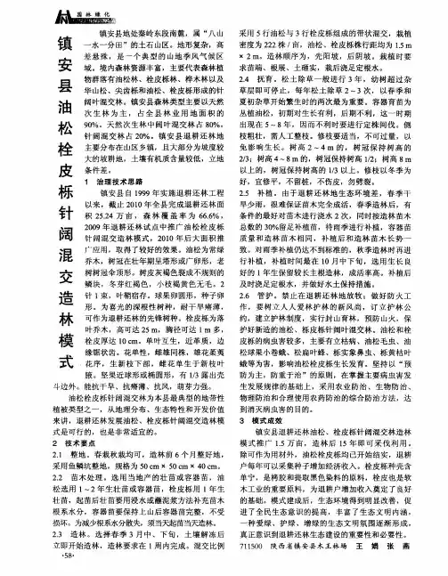 镇安县油松栓皮栎针阔混交造林模式