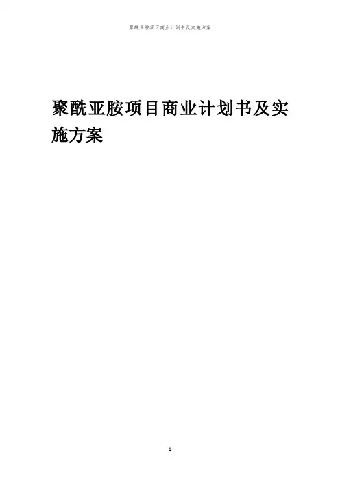 2024年聚酰亚胺项目商业计划书及实施方案