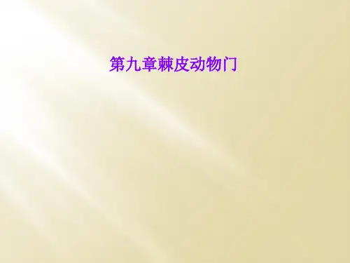 第九章棘皮动物门