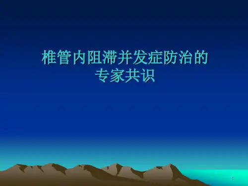 椎管内麻醉并发症防治专家共识ppt课件