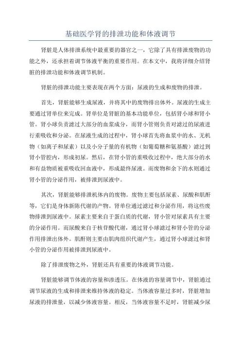 基础医学肾的排泄功能和体液调节