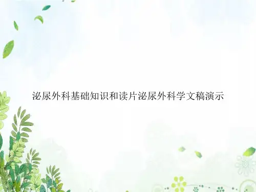 泌尿外科基础知识和读片泌尿外科学文稿演示