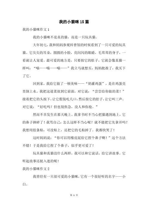 我的小猫咪15篇