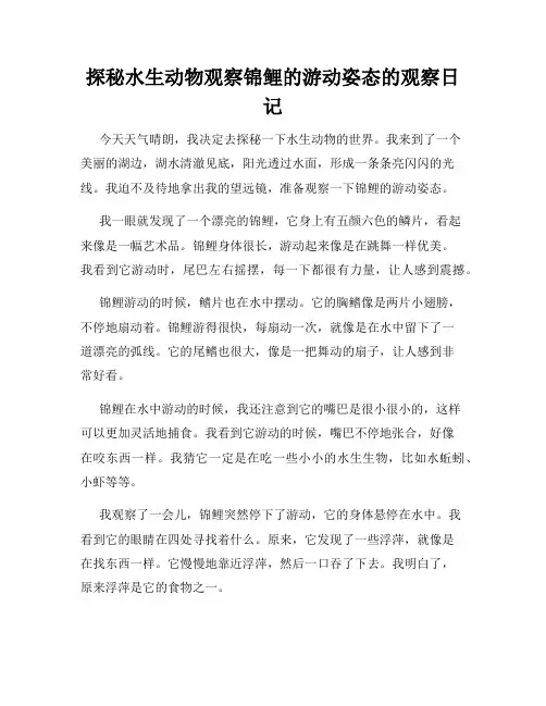 小学三年级作文探秘水生动物观察锦鲤的游动姿态的观察日记