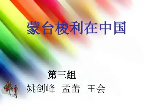 蒙特梭利教育法(课堂PPT)