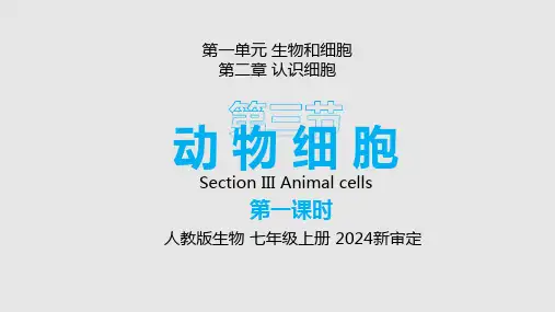 人教版生物七年级上册1.2.3《动物细胞》课件