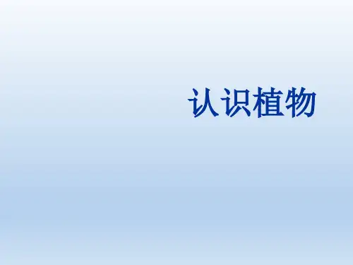 一年级上册科学课件-5认识植物    冀教版