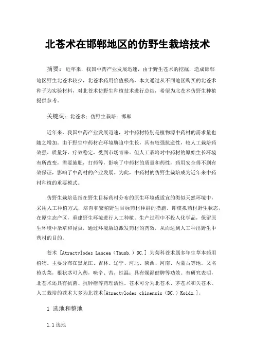 北苍术在邯郸地区的仿野生栽培技术