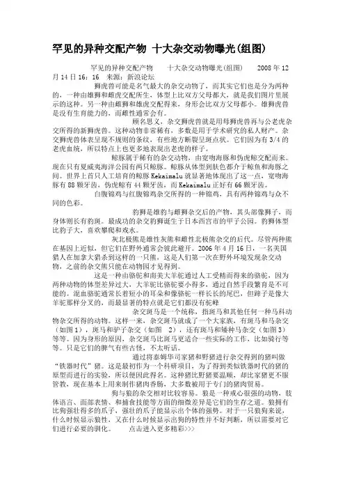 罕见的异种交配产物 十大杂交动物曝光(组图)讲解