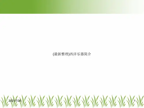 (最新整理)西洋乐器简介