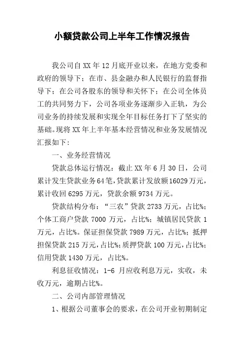 小额贷款公司上半年工作情况报告