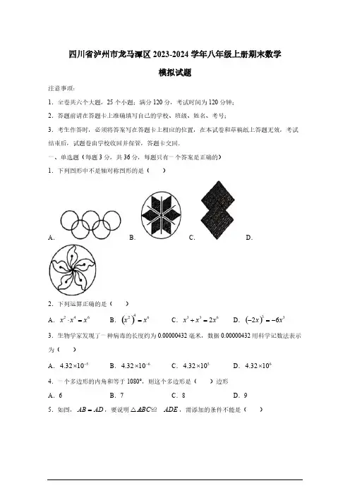 2023-2024学年四川省泸州市龙马潭区八年级上册期末数学模拟试题(有答案)