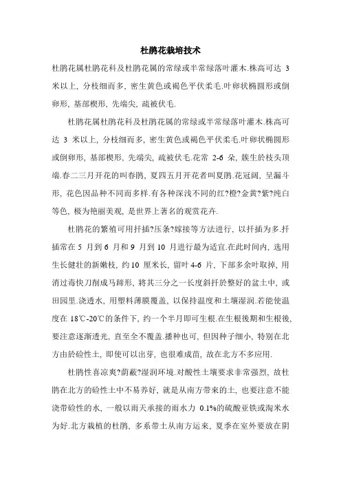 杜鹃花栽培技术