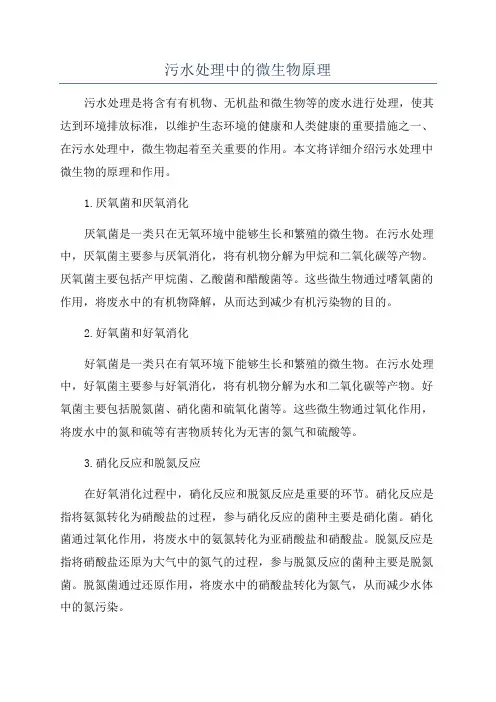 污水处理中的微生物原理