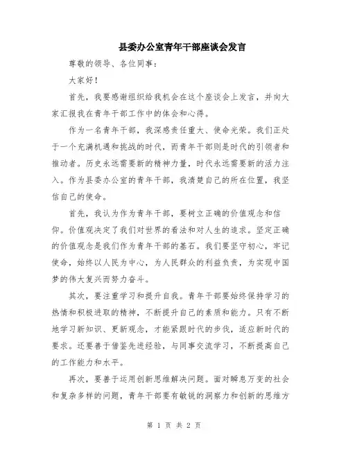 县委办公室青年干部座谈会发言
