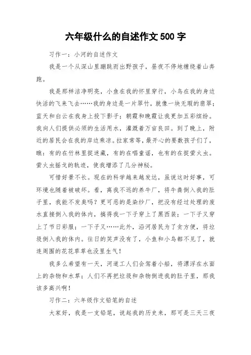 六年级什么的自述作文500字_作文