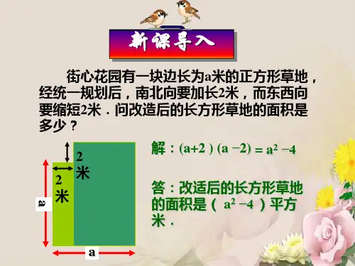 人教版八年级数学上册《14.2.1 平方差公式》课件 (共18张PPT)