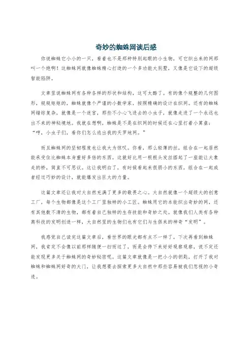 奇妙的蜘蛛网读后感