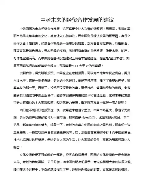 中老未来的经贸合作发展的建议
