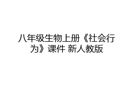 最新八年级生物上册《社会行为》课件 新人教版备课讲稿
