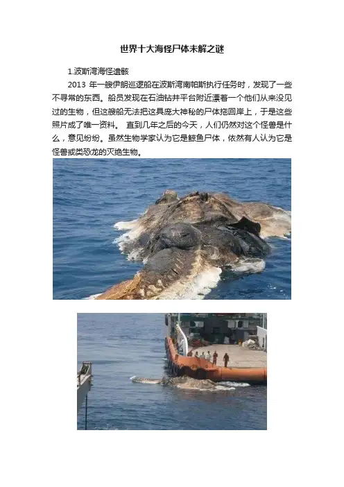 世界十大海怪尸体未解之谜