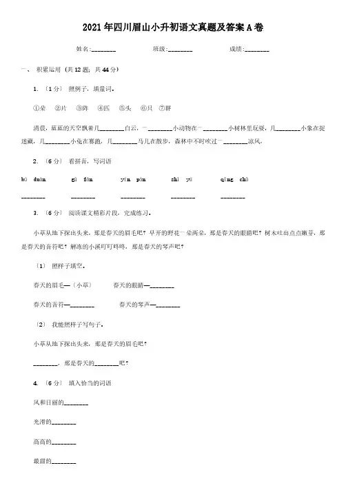 四川眉山小升初语文真题解析版A卷
