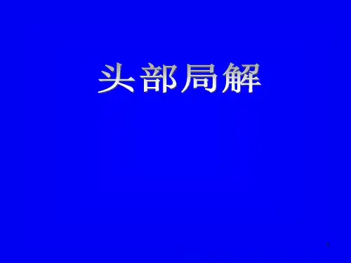头部解剖ppt课件