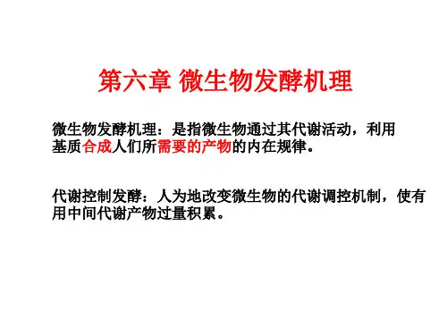 第六章微生物发酵机理