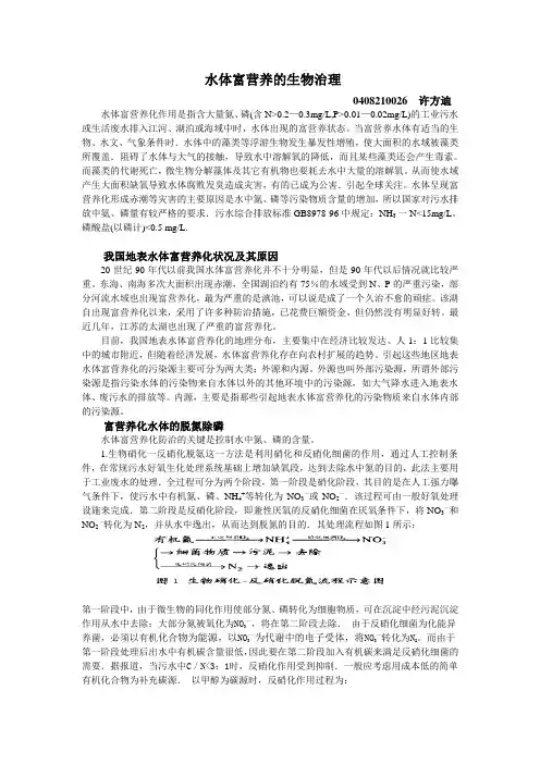 水体富营养化的生物治理