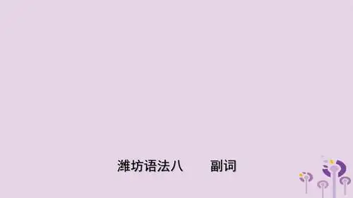 山东省潍坊市2019年中考英语总复习语法专项复习语法八副词课件