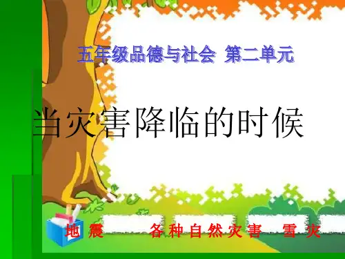 人教版小学六年级品德与社会下册当灾害降临的时候-ppt