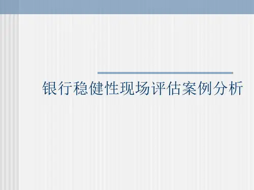 银行机构稳健性现场评估案例分析课件